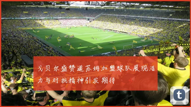 戈贝尔盛赞道苏姆加盟球队展现活力与对抗精神引发期待