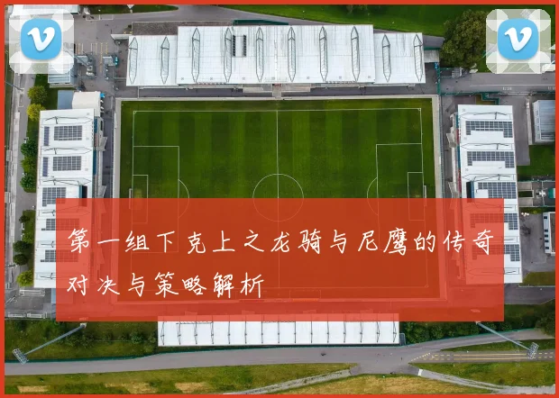 第一组下克上之龙骑与尼鹰的传奇对决与策略解析